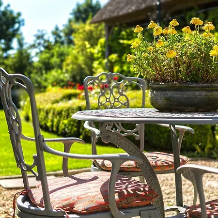Vinedo Bed & Breakfast Zele